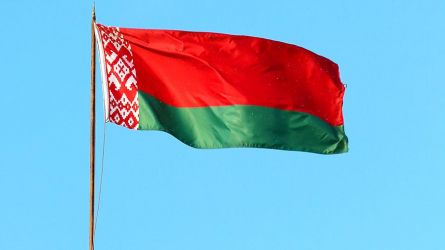 Флаг Республики Беларусь, бич сетка